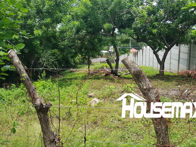 Ranchos y Terrenos de Playa para Venta en La Libertad - 5